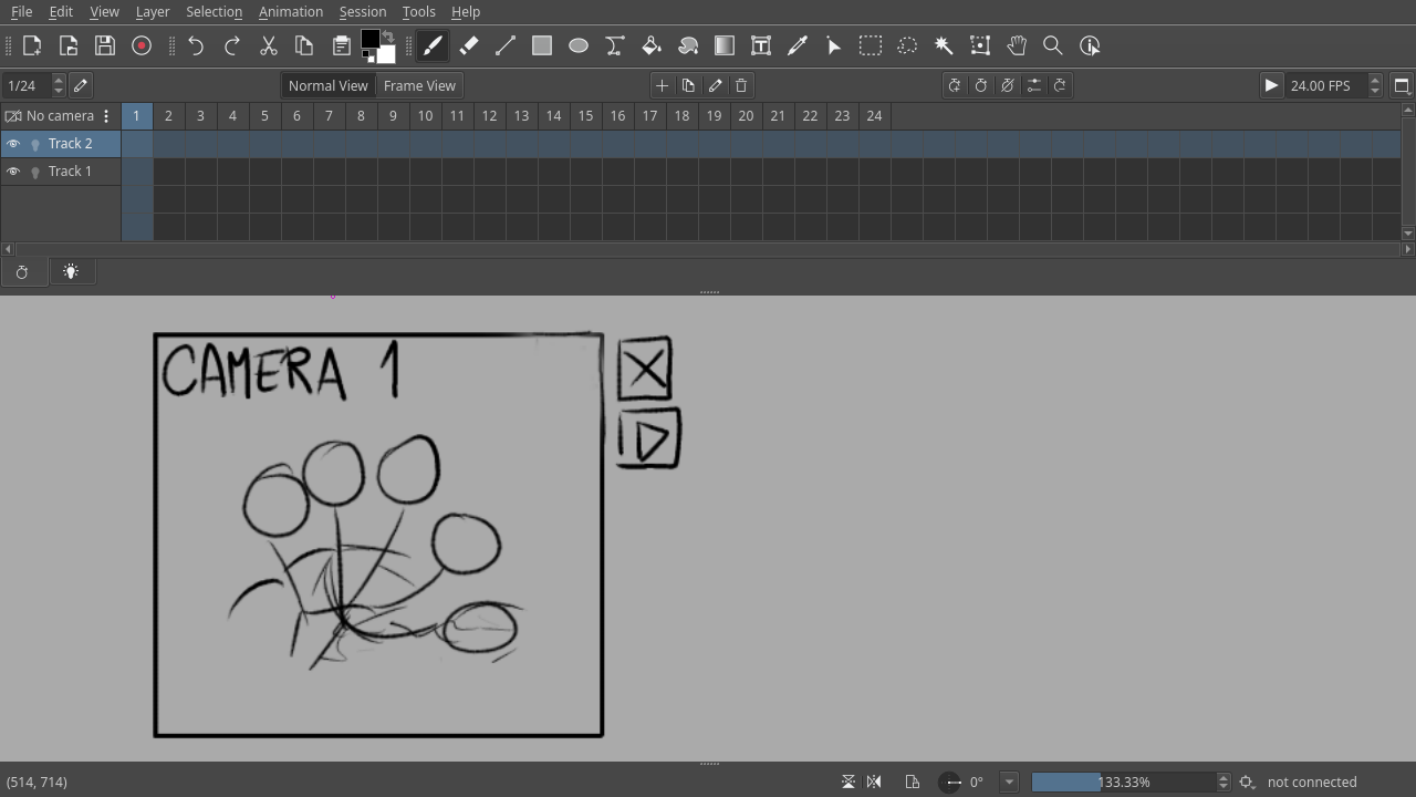 Camera concept