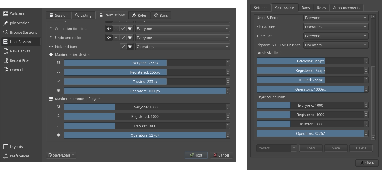Layer and brush limit session settings